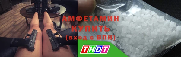 крисы Богородицк